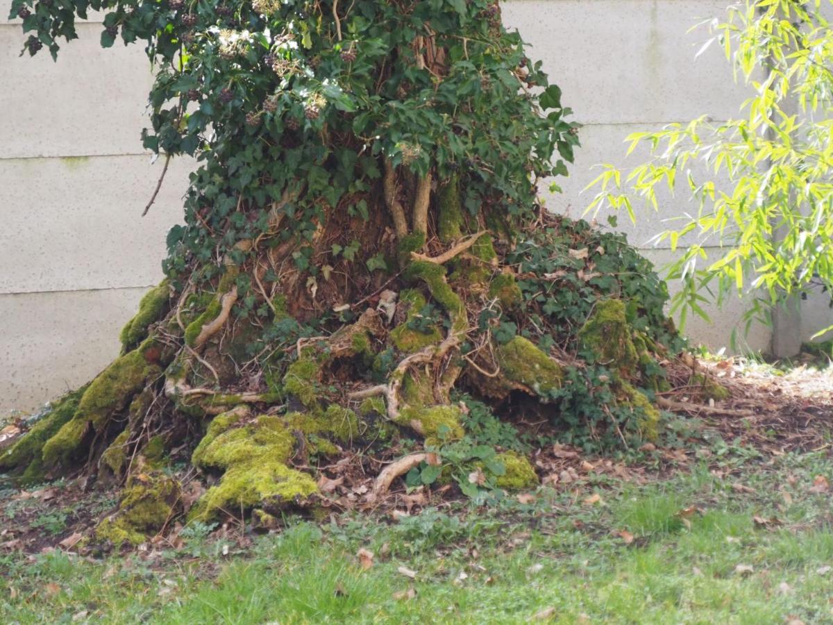 Chateau Segot Neuilly-le-Réal Kültér fotó